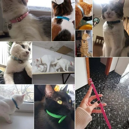 Colorful Leather Cat Dog Collar Cute Adjustable