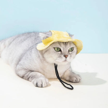 Pets Hat with Ear Holes Adjustable Baseball Cap