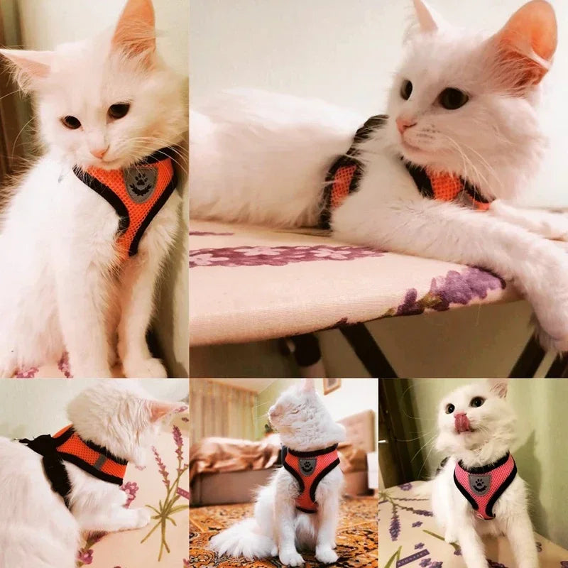 1pc-cat traction vest