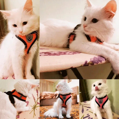 1pc-cat traction vest