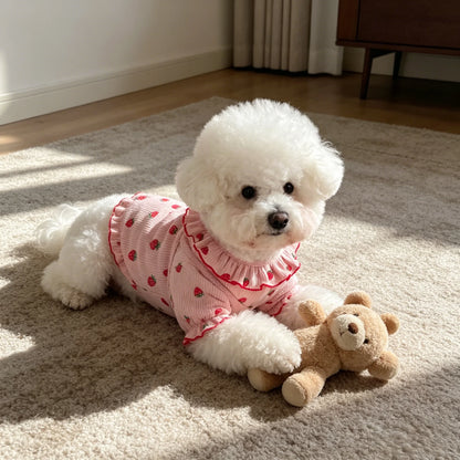 Small Dog Summer Breathable Cute Dog /Cat Ruffled Collar Pet Clothes