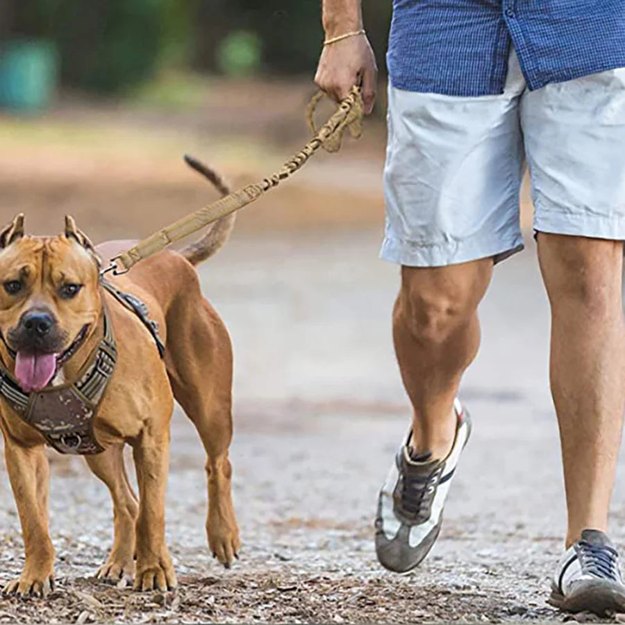 Dog Leash Large Dogs, Bungee Dog Leash Heavy Duty