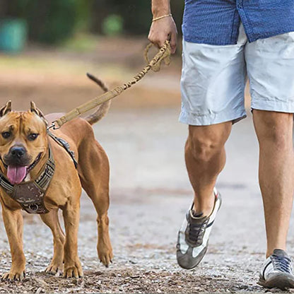 Dog Leash Large Dogs, Bungee Dog Leash Heavy Duty