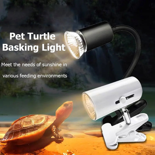 Reptile Lamp Pet Amphibians