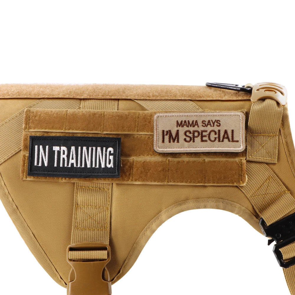 12 Pieces Tactical Patch Bundle For Dog  Name ID Sticker