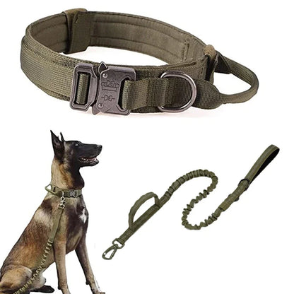 Dog Collar Leash Set Adjustable  Leash  Dog Training Accessories