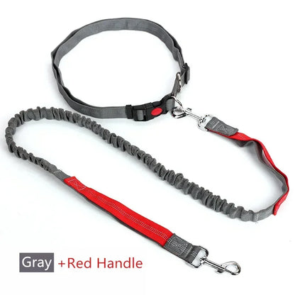 Retractable Dog Leash with Adjustable Waist Rope Hand Free