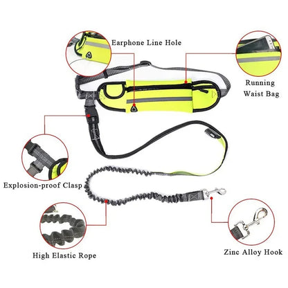 Hands Free Dog Leash with Zipper Pouch Reflective Bungee