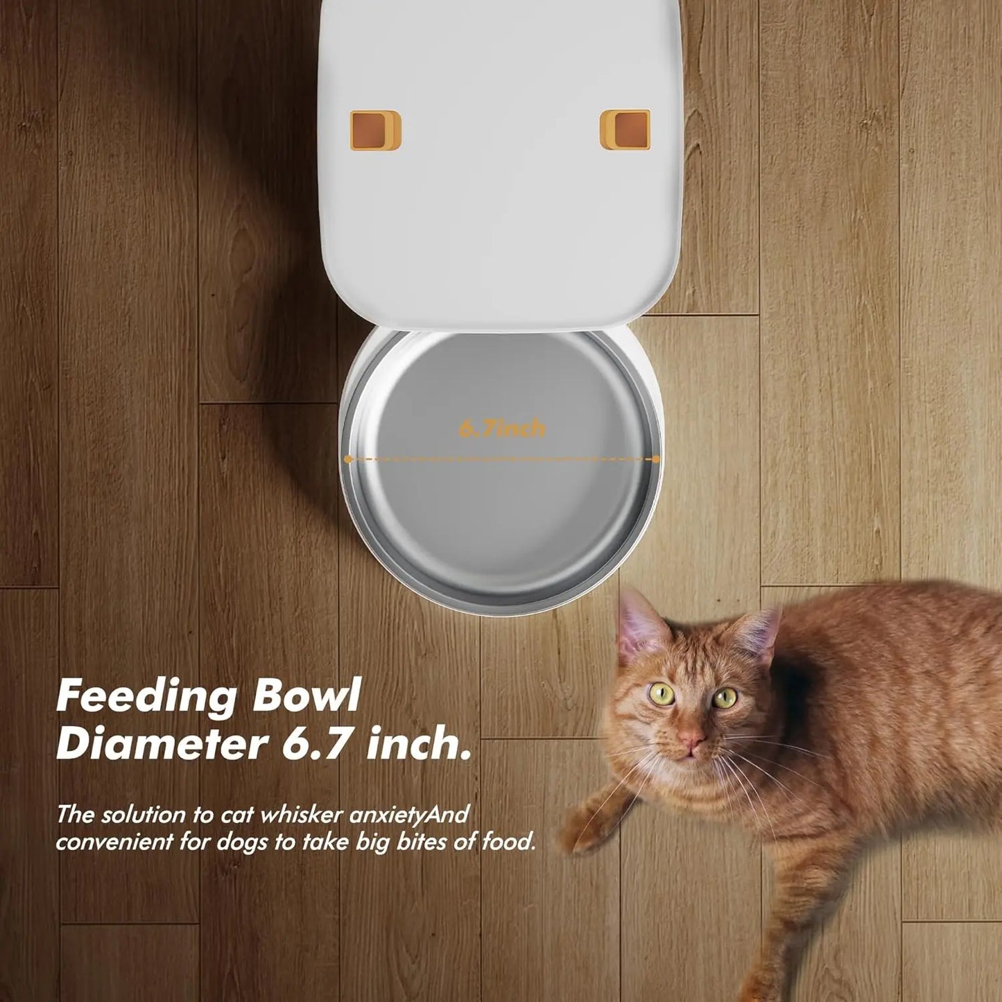 Automatic  Feeder, Smart Pet Food Dispenser with Key Control,