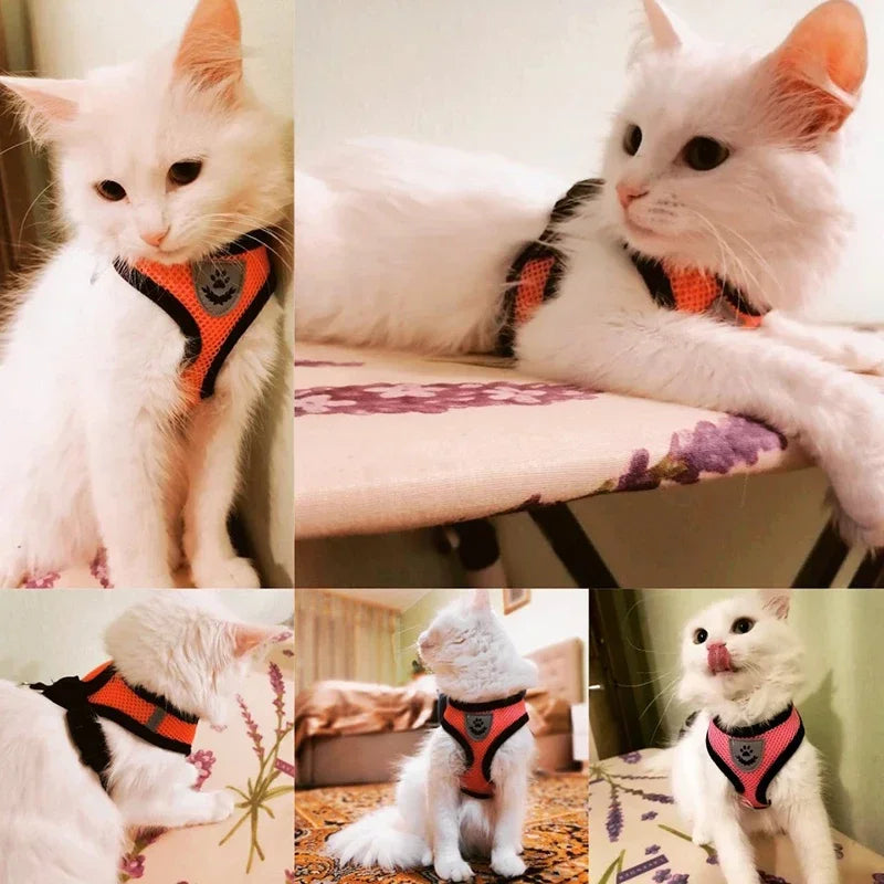 Harness Vest Walking Leash Collar Polyester Adjustable Mesh Cat &  Dog Harness