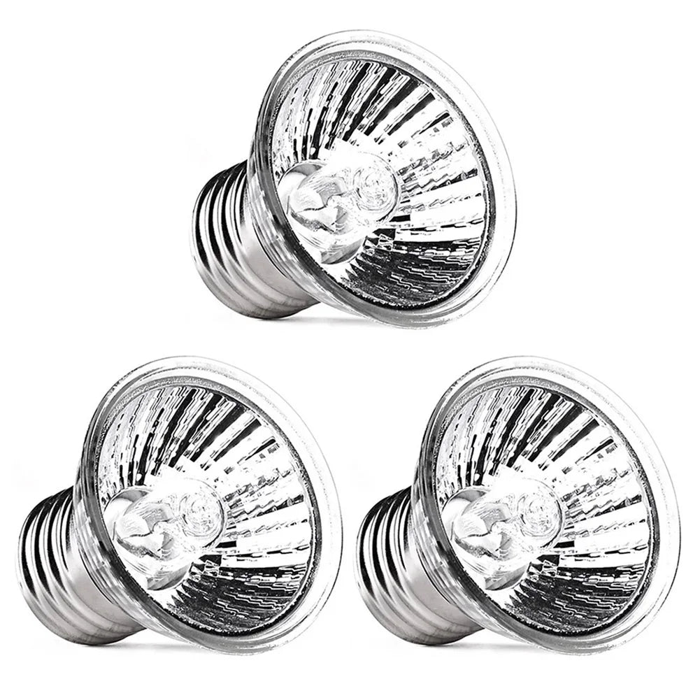 Reptile Lamp Pet Amphibians