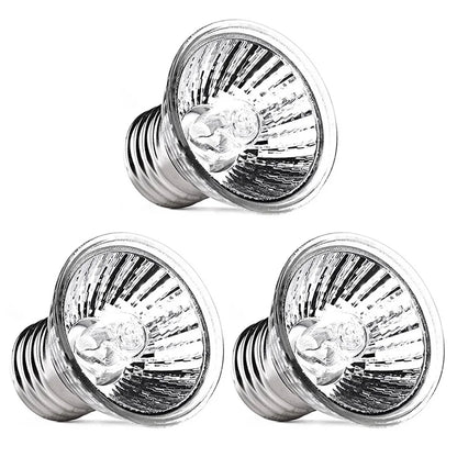 Reptile Lamp Pet Amphibians