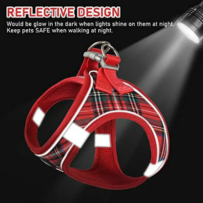 Small Dog Harness Collar and Leash Set