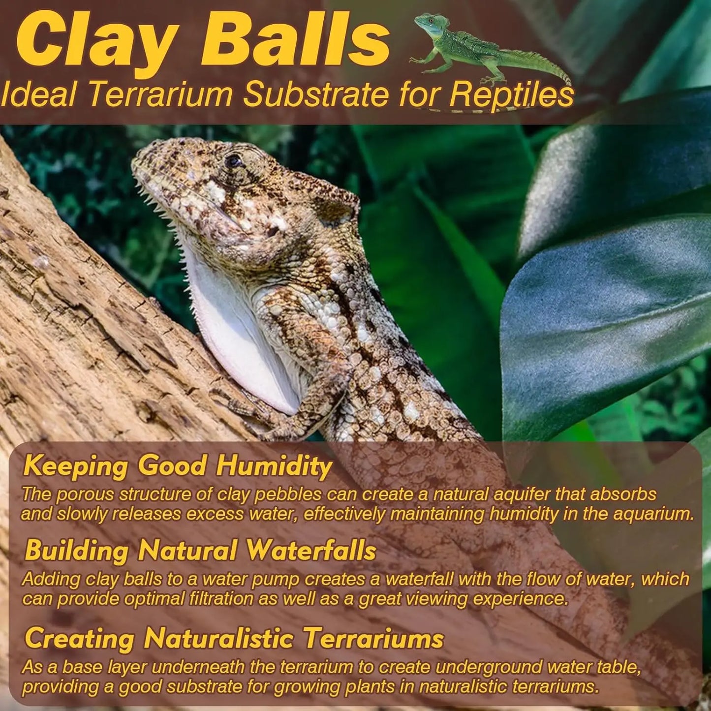 2 LBS Natural Clay Pebbles - Substrate for Terrariums