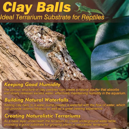 2 LBS Natural Clay Pebbles - Substrate for Terrariums