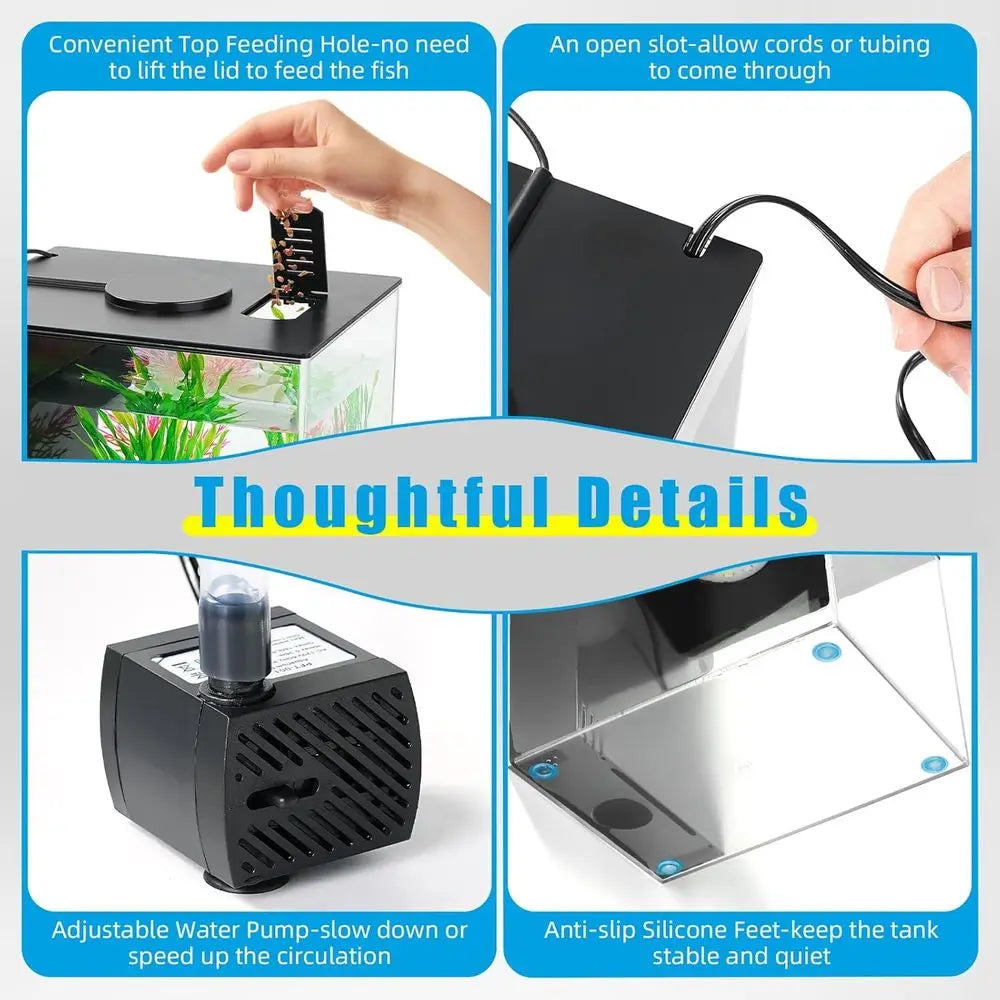 1 Gallon  Aquarium Kit with LED Light and Water Filter Pump