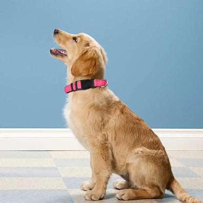 Reflective Dog Collar, Adjustable Soft Neoprene Padded Nylon