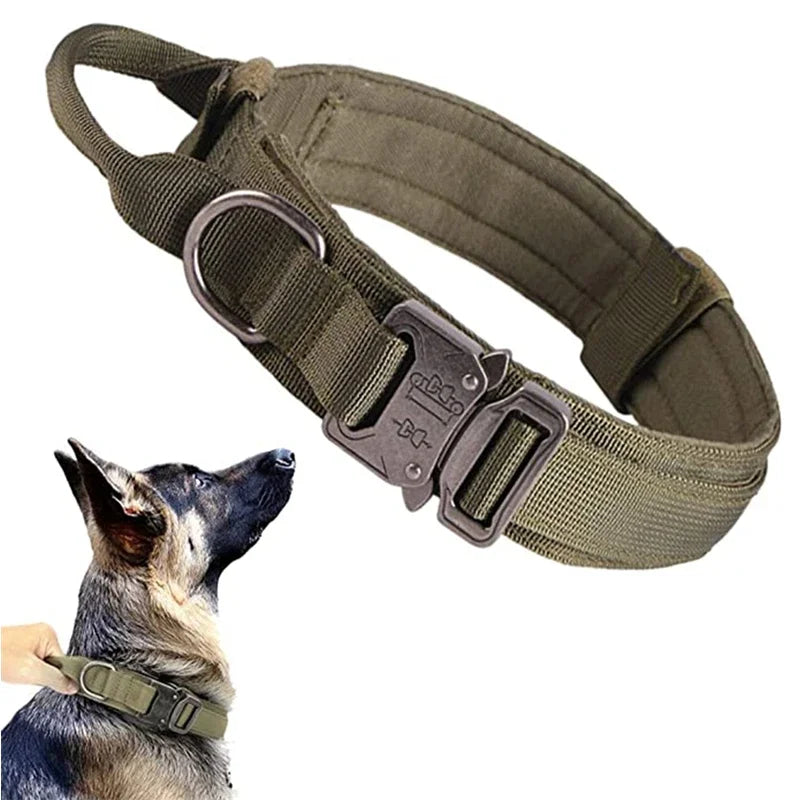 Dog Collar Leash Set Adjustable  Leash  Dog Training Accessories