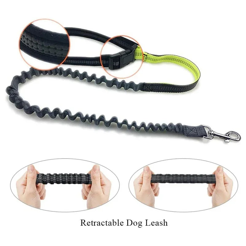 Hands Free Dog Leash with Zipper Pouch Reflective Bungee