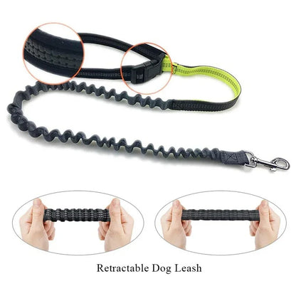 Hands Free Dog Leash with Zipper Pouch Reflective Bungee