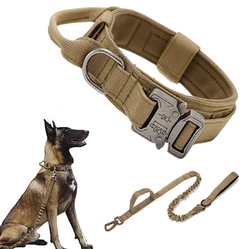 Dog Collar Leash Set Adjustable  Leash  Dog Training Accessories