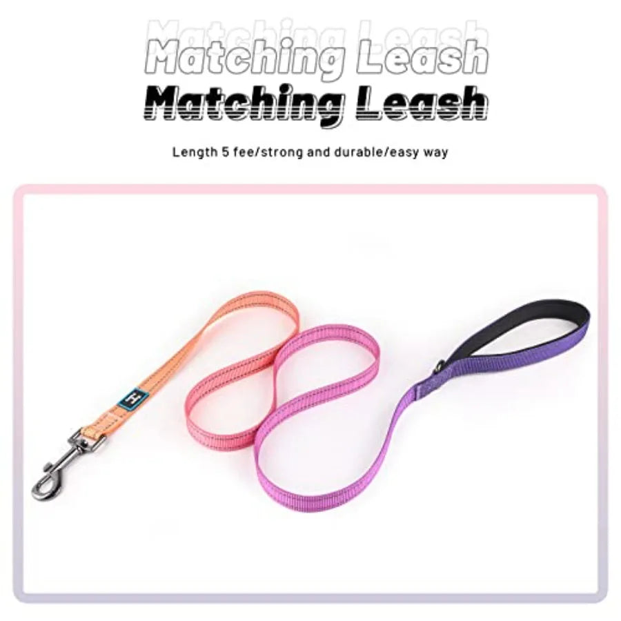 Reflective Dog Collar and Leash Set