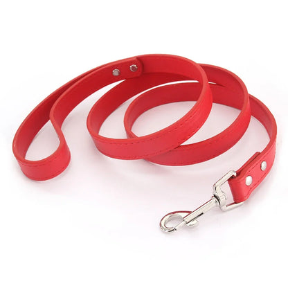 Leather Pet Walking Training Leads
