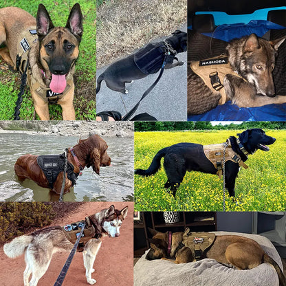 Large Dog Harness And Leash .Walking