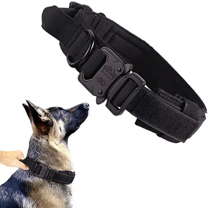 Dog Collar Leash Set Adjustable  Leash  Dog Training Accessories
