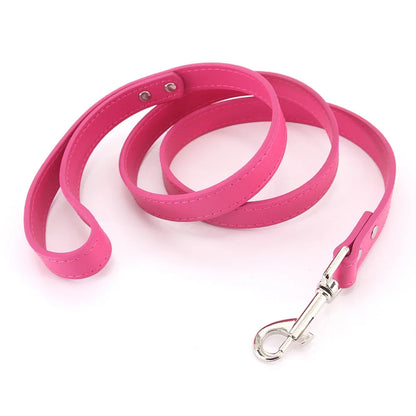 Leather Pet Walking Training Leads