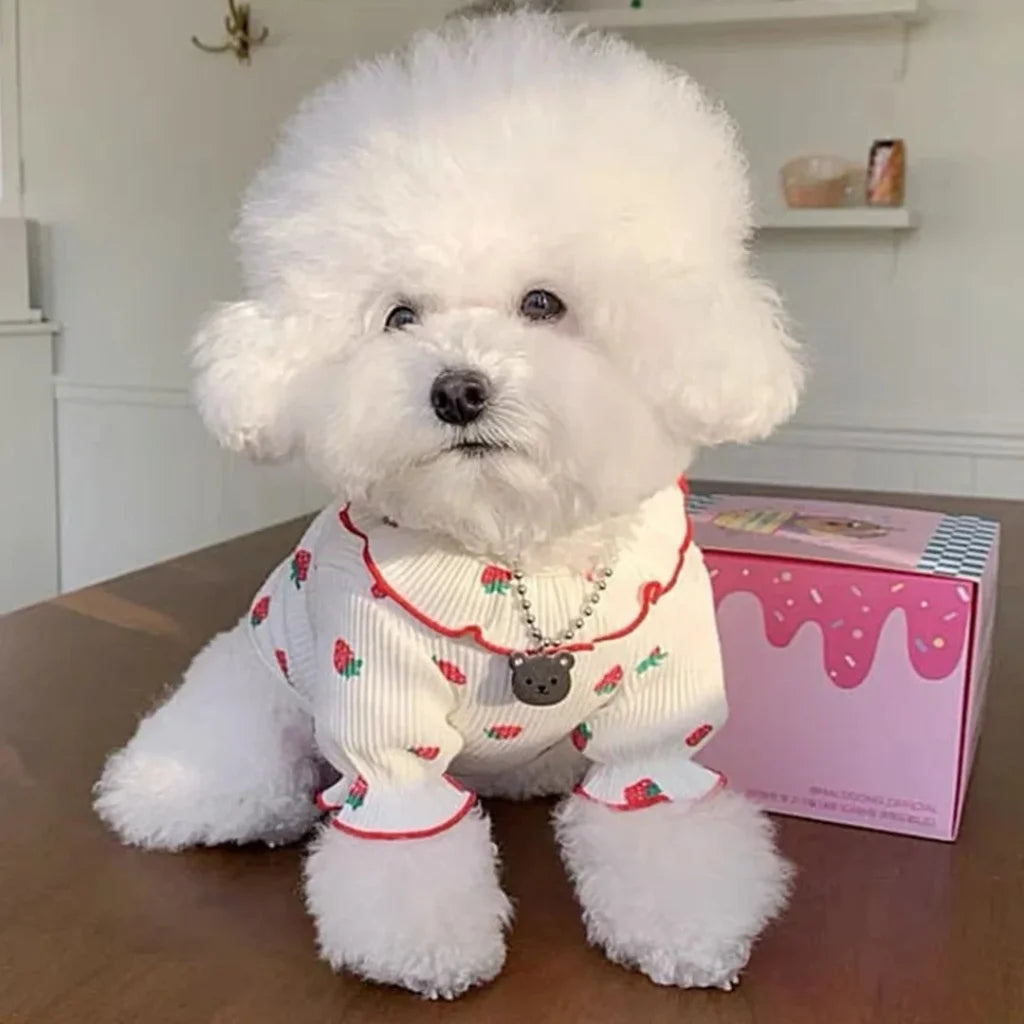 Small Dog Summer Breathable Cute Dog /Cat Ruffled Collar Pet Clothes