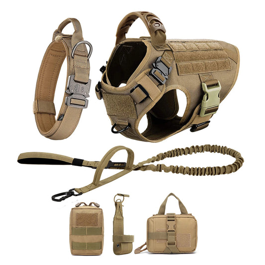 Large Dog Harness And Leash .Walking