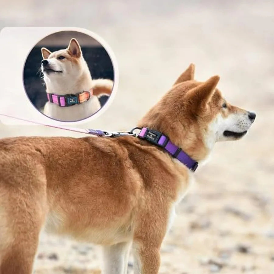 Reflective Dog Collar and Leash Set