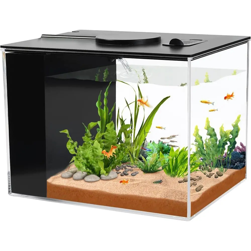 1 Gallon  Aquarium Kit with LED Light and Water Filter Pump