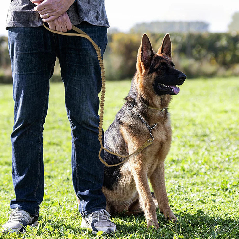 Leashes Adjustable  Quick Release
