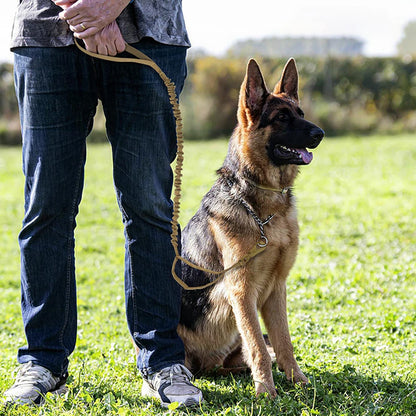 Leashes Adjustable  Quick Release