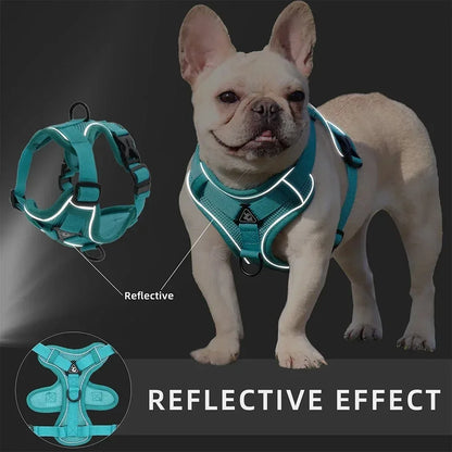 No Pull Harness and Leash Set Vest for  Small Dogs  & Cats