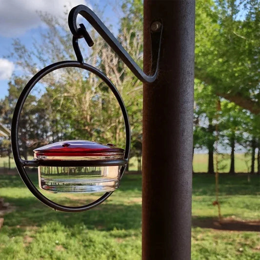 Hummingbird Drinker Feeder