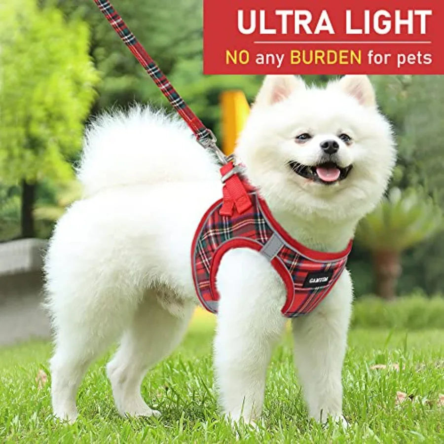 Small Dog Harness Collar and Leash Set