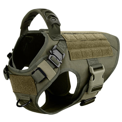 Large Dog Harness And Leash .Walking