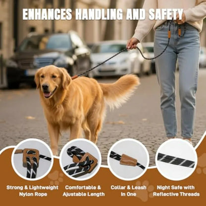 Slip Leads ,  Collar Leash and Harness All in One, Pet Training Lead for Walking,
