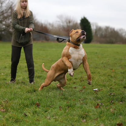 BESTIA DOG SPORT dual handle leash